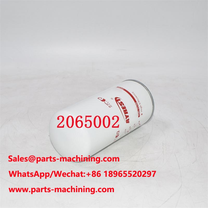 2065002 Filtre à carburant 2002041593 Remplacement