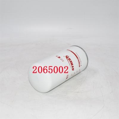 2065002 Filtre à carburant 2002041593 Remplacement