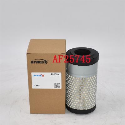 AF25745 Air Filter